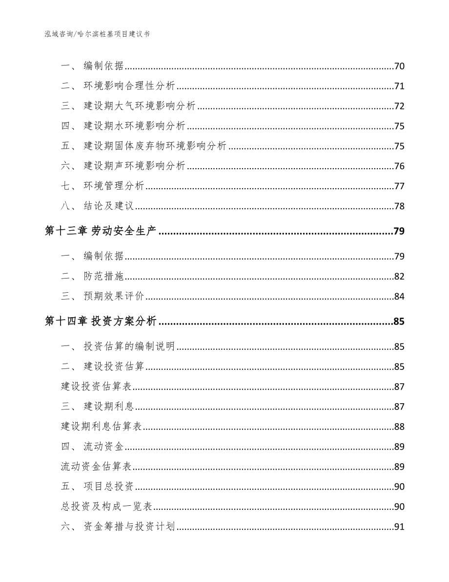 哈尔滨桩基项目建议书（范文参考）_第5页