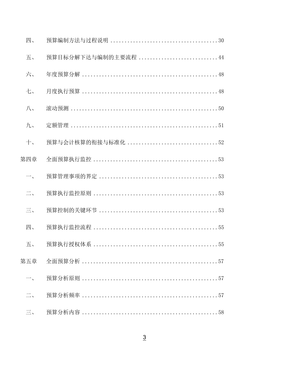 全面预算管理手册.docx_第3页