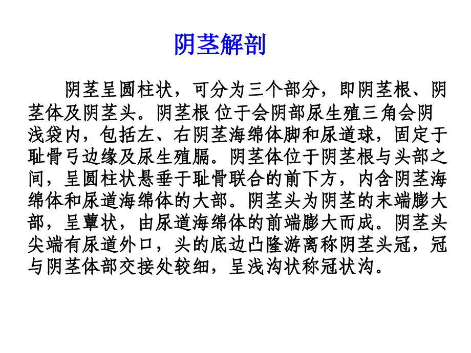 包皮环切不可随意_第4页