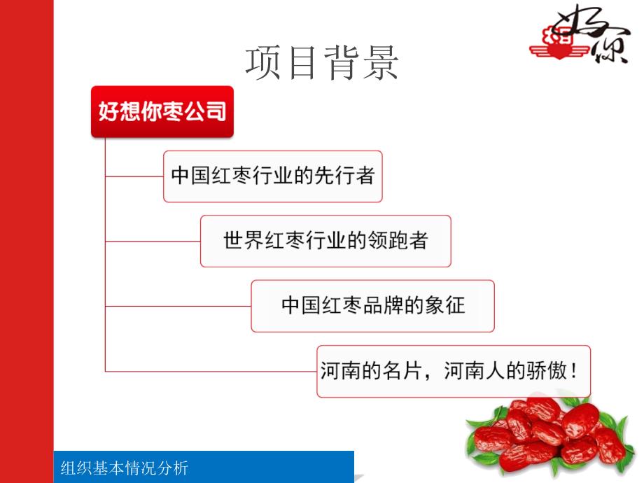 好想你枣品牌推广策划方案_第4页