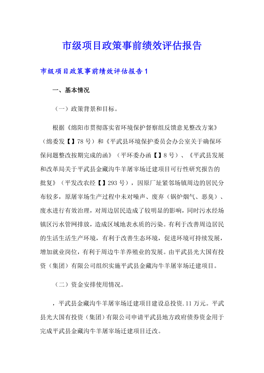 市级项目政策事前绩效评估报告_第1页