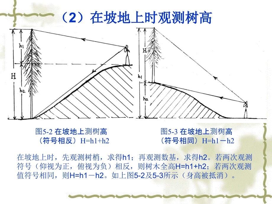 第九章、林木测量与计算ppt课件_第5页