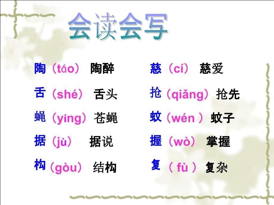 三年级下册语文课件19 放飞蜻蜓∣苏教版 (共18张PPT)_第5页