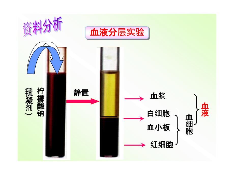 血液循环复习_第1页