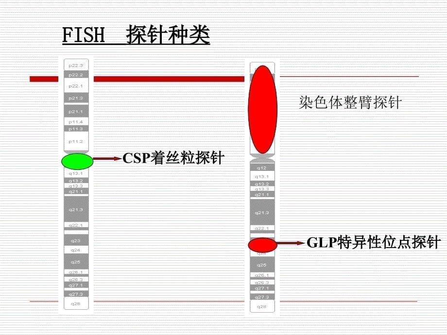 子宫颈鳞状上皮病变中HPV感染_第5页