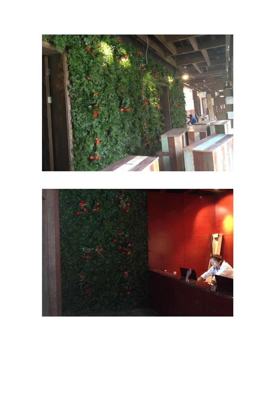 室内设计绿色植物墙优秀案例展示_第4页