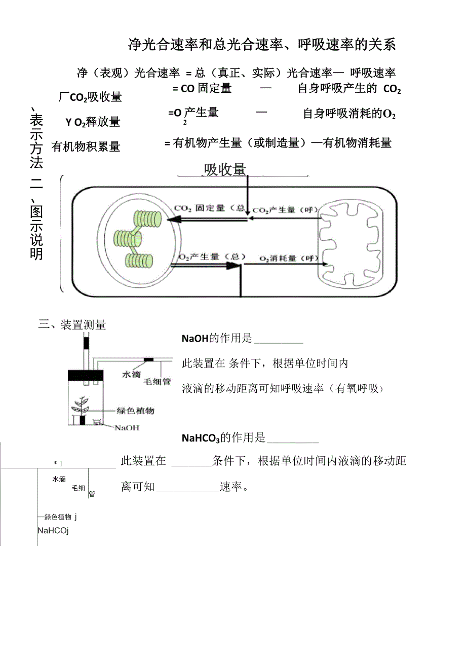 光合速率 呼吸速率 净光合速率 表示法_第1页