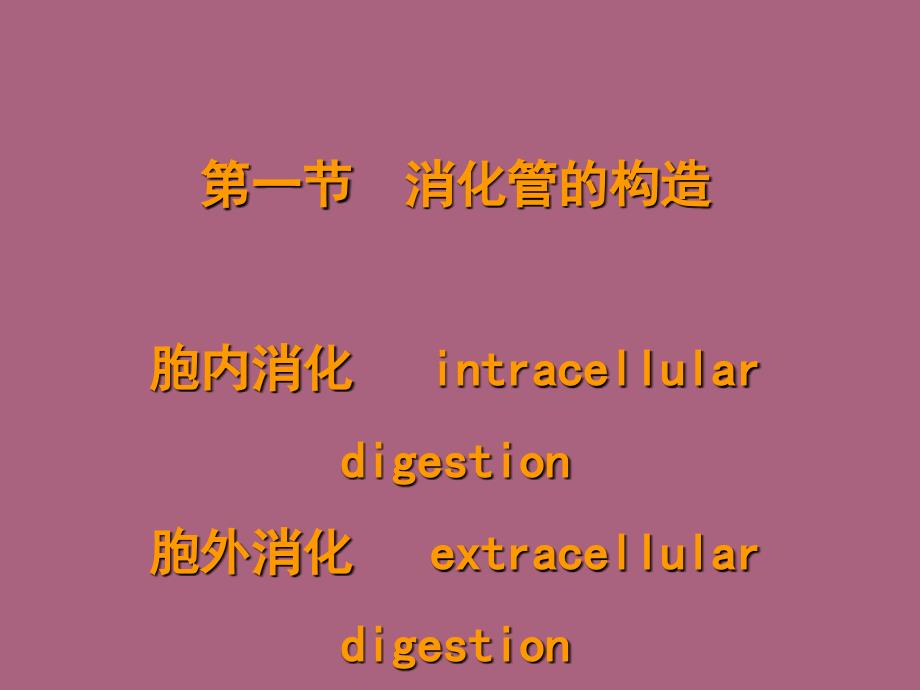 食物在消化道内被分解为小分子物质的过程分为机械性消化化学性消化ppt课件_第3页