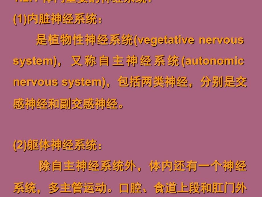 食物在消化道内被分解为小分子物质的过程分为机械性消化化学性消化ppt课件_第5页