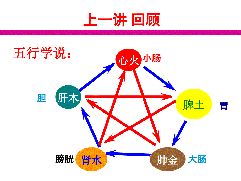 第二讲脏腑与气血津液学说及其临床应用_第4页