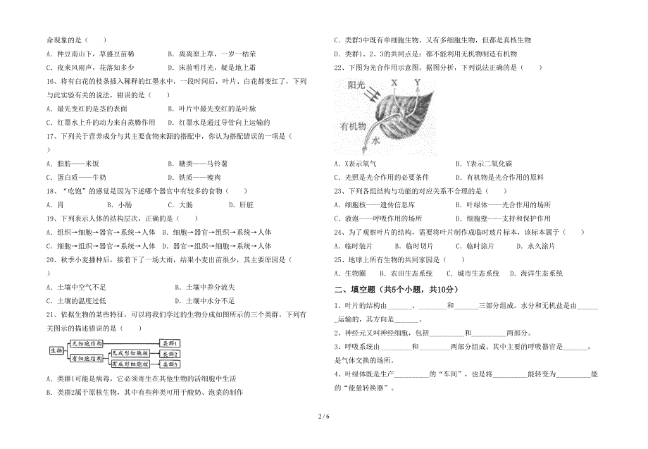 2023年人教版七年级上册《生物》期末考试题及答案【汇编】.doc_第2页