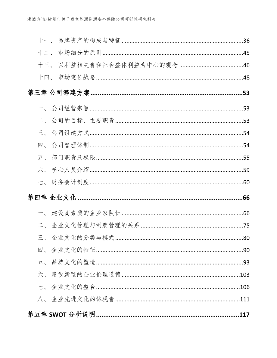 横州市关于成立能源资源安全保障公司可行性研究报告【参考模板】_第2页