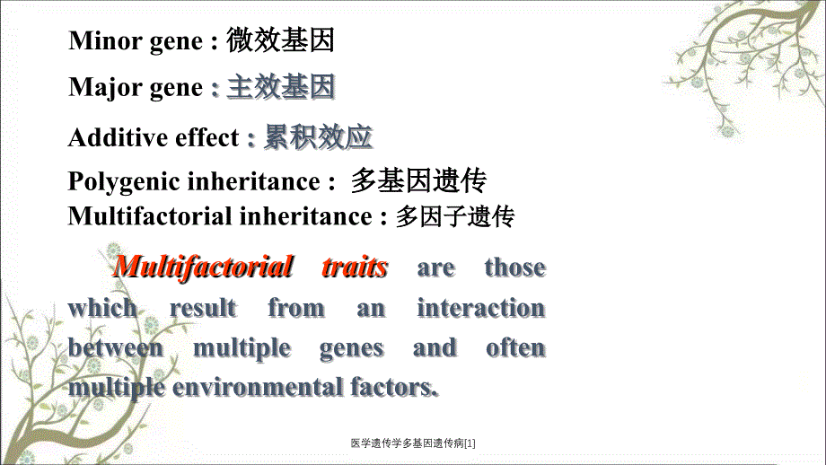 医学遗传学多基因遗传病1_第3页