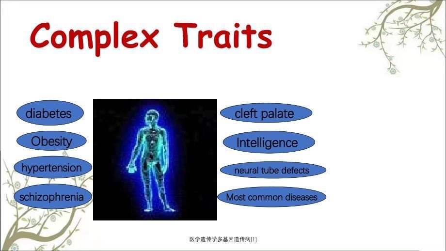 医学遗传学多基因遗传病1_第5页