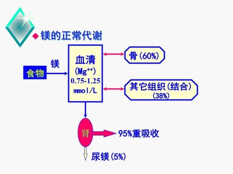 低磷、低镁血症危害及处理资料讲解_第4页