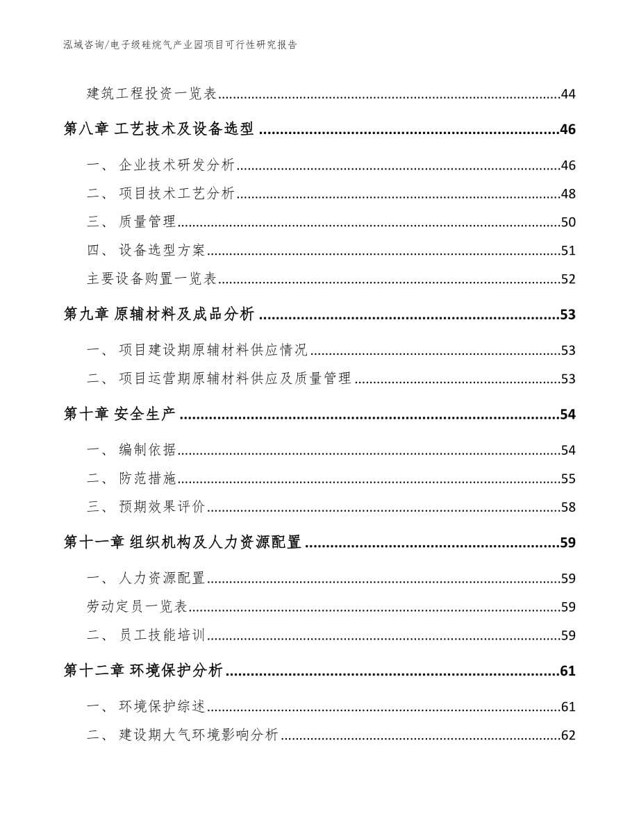 电子级硅烷气产业园项目可行性研究报告_范文_第5页