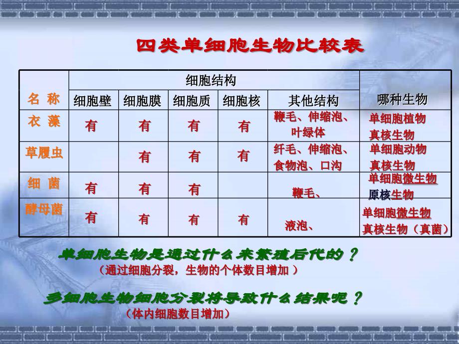 显微镜的微生物(浙版)_第2页