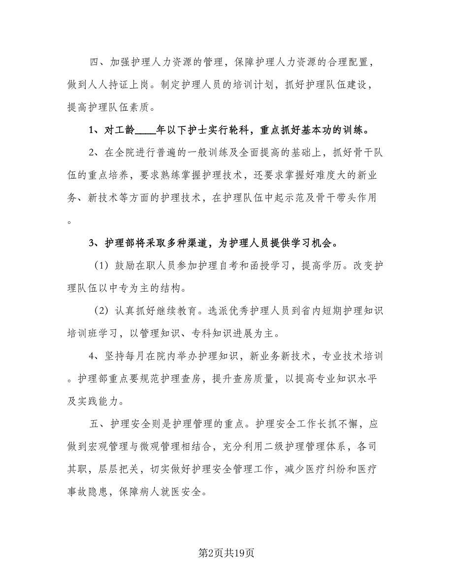 医院优秀护士工作计划模板（9篇）_第2页