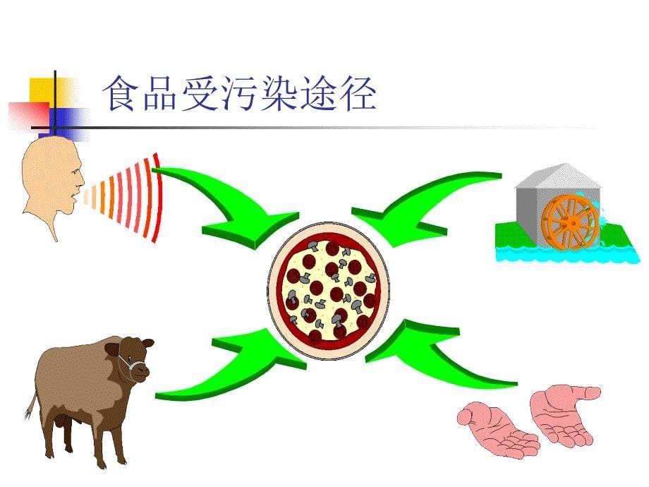 1.5危害及预防措施_第5页