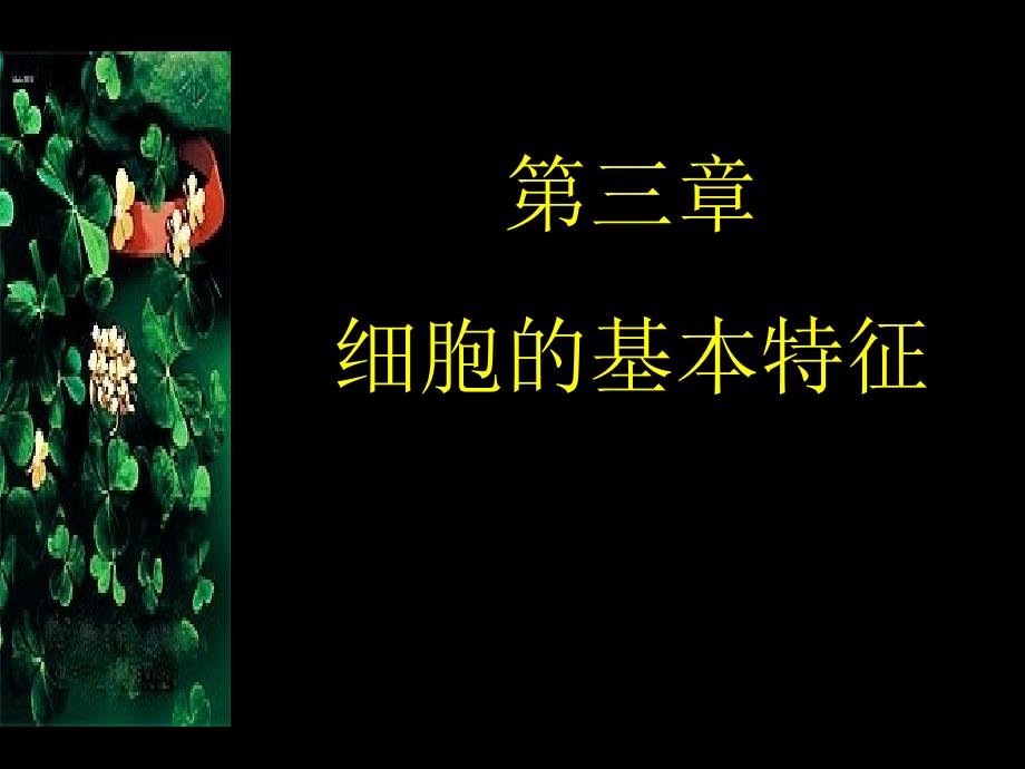 医学细胞生物学：第三章 细胞的基本特征_第1页