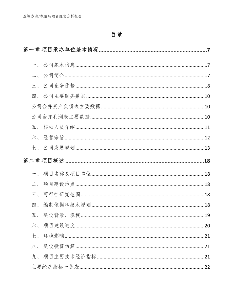 电解铝项目经营分析报告_第1页