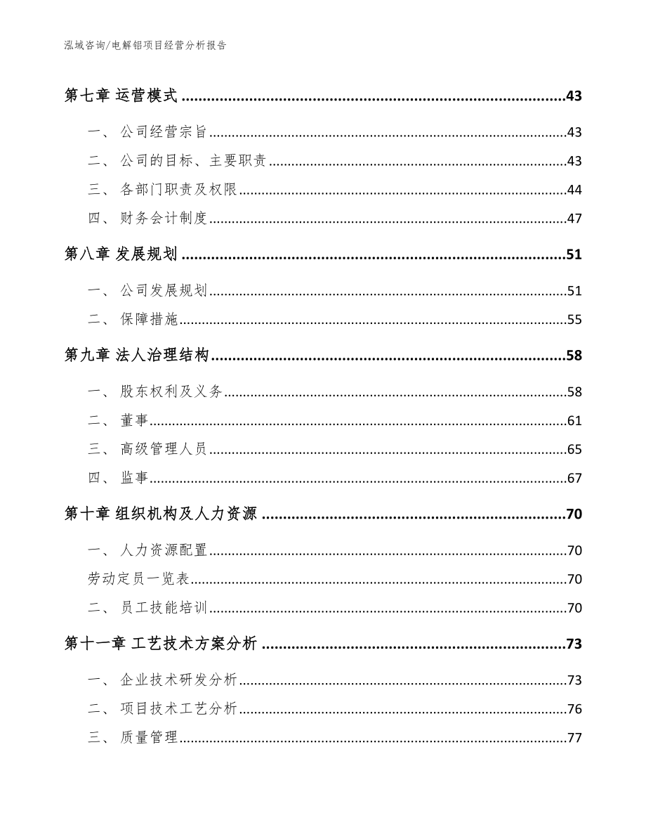 电解铝项目经营分析报告_第3页