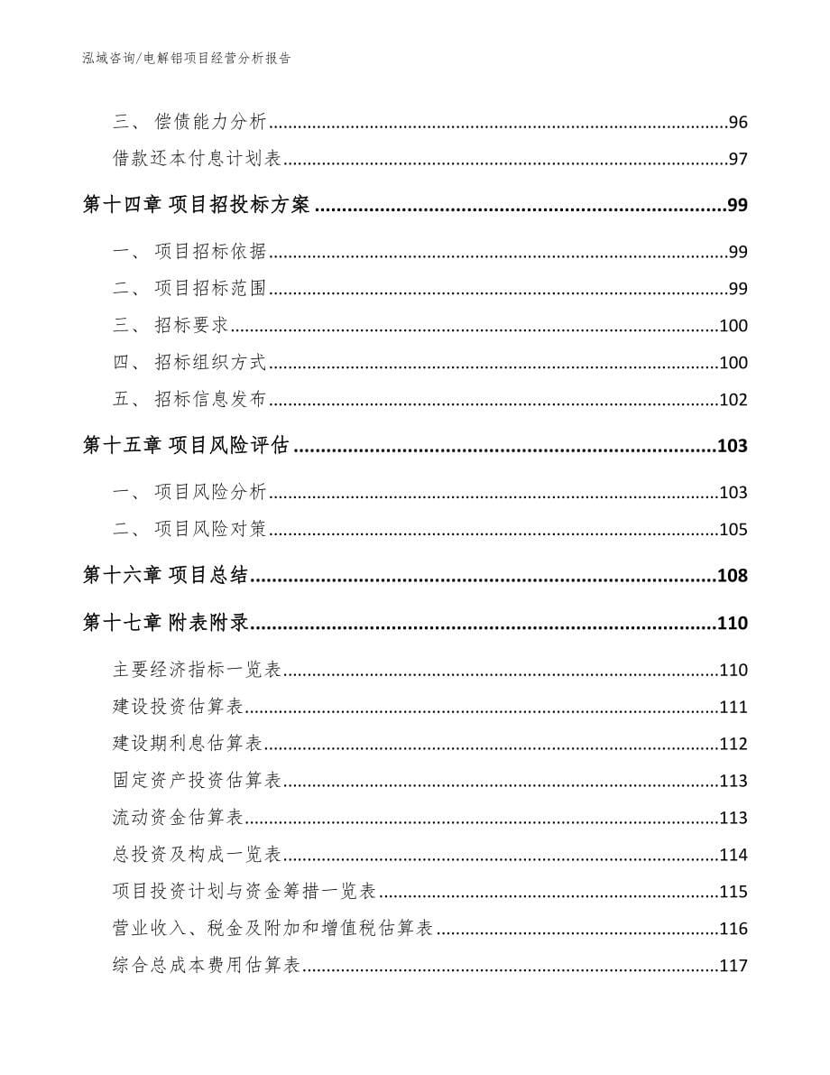 电解铝项目经营分析报告_第5页