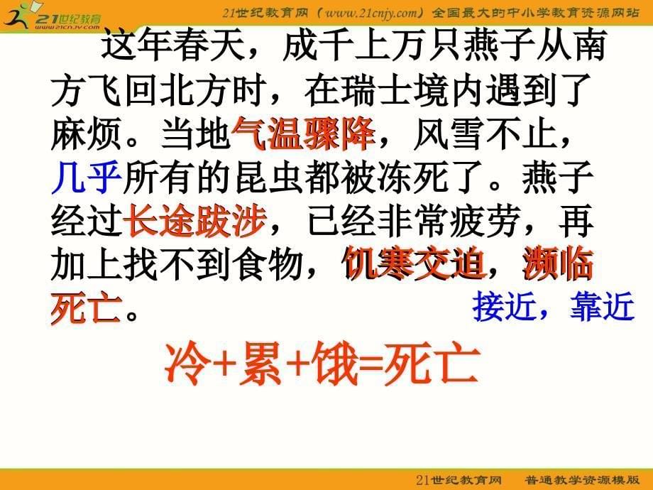 (人教新课标)三年级语文下册课件燕子专列6_第5页