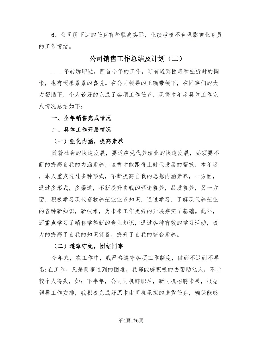 公司销售工作总结及计划（2篇）.doc_第4页