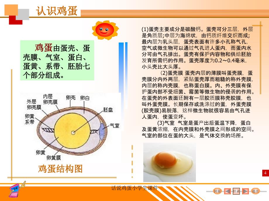 话说鸡蛋小学生课件_第5页