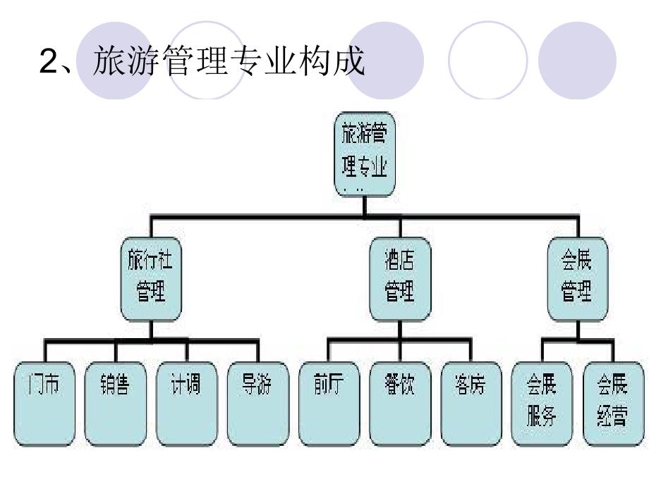 旅游管理专业介绍ppt课件_第4页