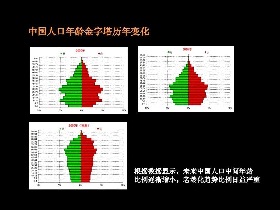 连锁养老型文化特区推广定位简报_第5页