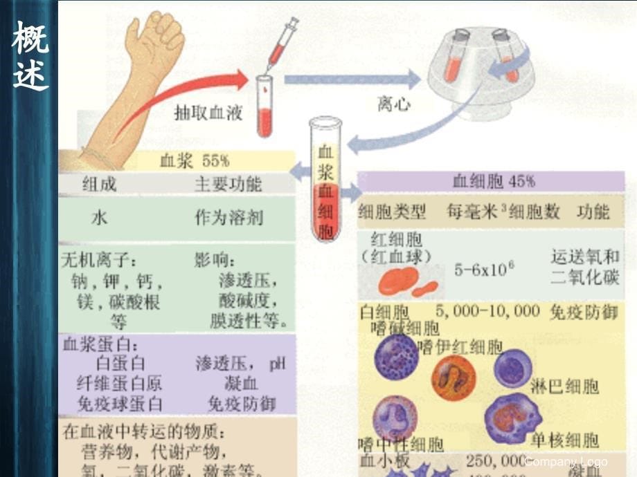 血清学检验及其新技术--课件_第5页