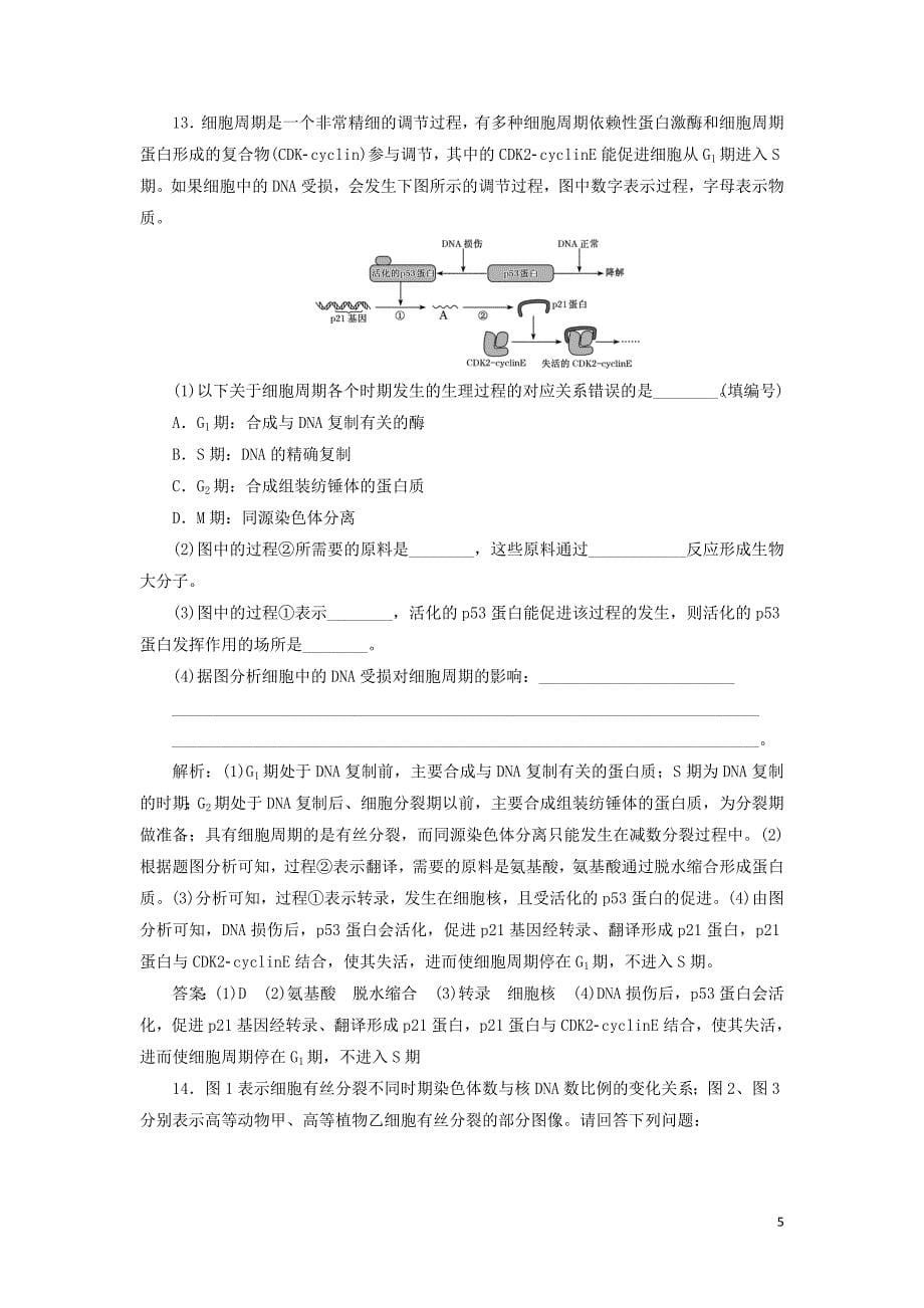 新课改瘦专用版高考生物一轮复习课下达标检测十二细胞的增殖含解析05171128_第5页