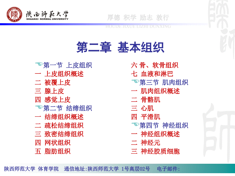 12人体组成的结构基础上皮组织ppt_第2页