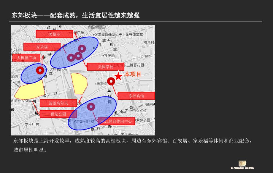 上海合生东郊别墅营销策略100p_第4页