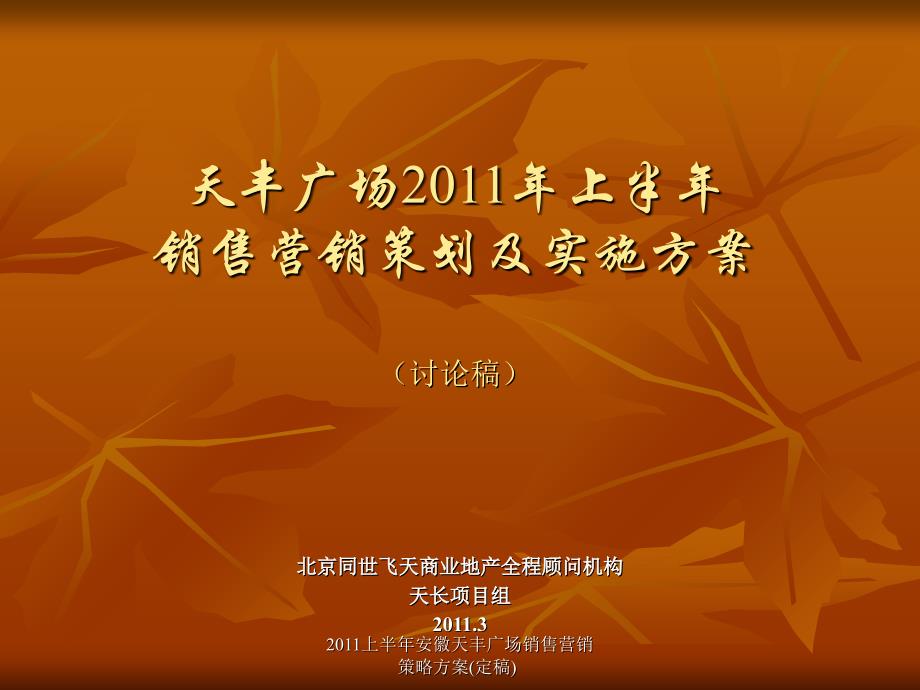 2011上半年安徽天丰广场销售营销策略方案(定稿)课件_第1页