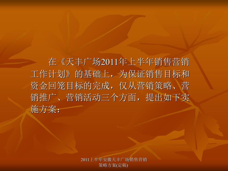 2011上半年安徽天丰广场销售营销策略方案(定稿)课件_第2页