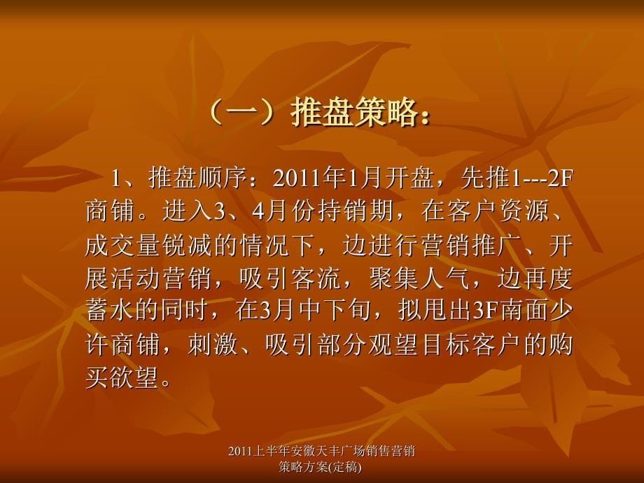 2011上半年安徽天丰广场销售营销策略方案(定稿)课件_第5页