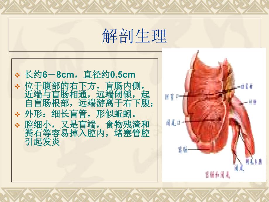 阑尾炎业务学习_第3页