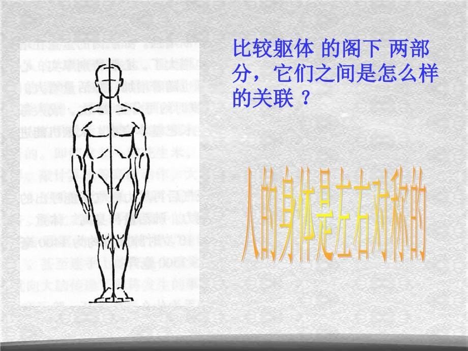 教科小学科学四上4.1身体的结构PPT课件5精选_第5页