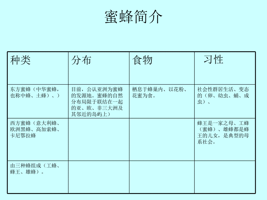 《神秘的蜜蜂王国》PPT课件.ppt_第4页