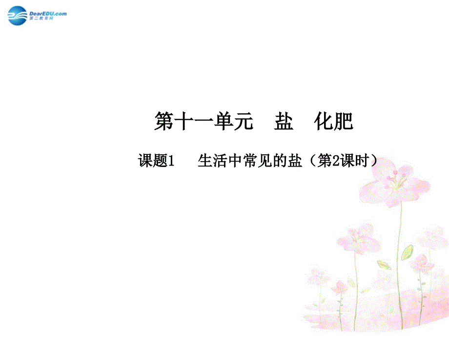 最新人教初中化学九下《11课题1生活中常见的盐》PPT课件 20_第2页