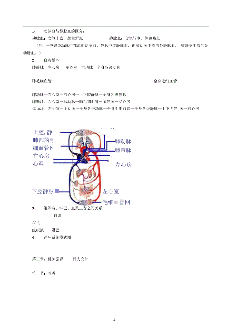 七年级下册冀教版生物知识点总结(word版)_第4页