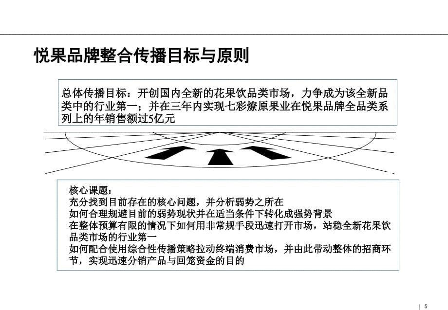 资料悦果品牌上市暨整合营销传播报告课件_第5页