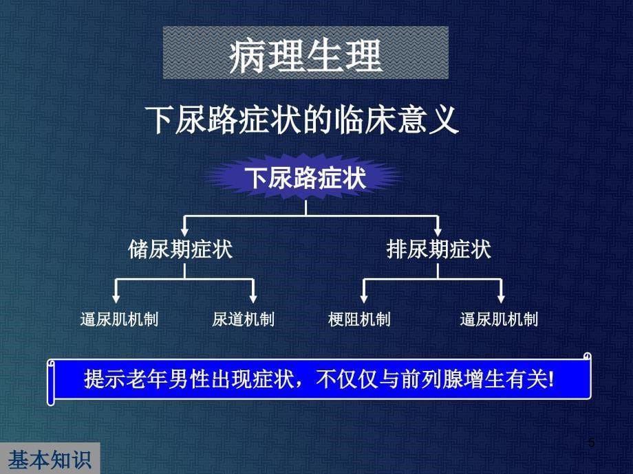 解读中国良性前列腺增生症防治指南ppt课件_第5页