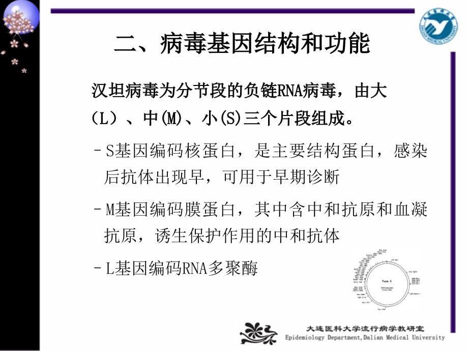 肾综合征出血热课件.ppt_第5页