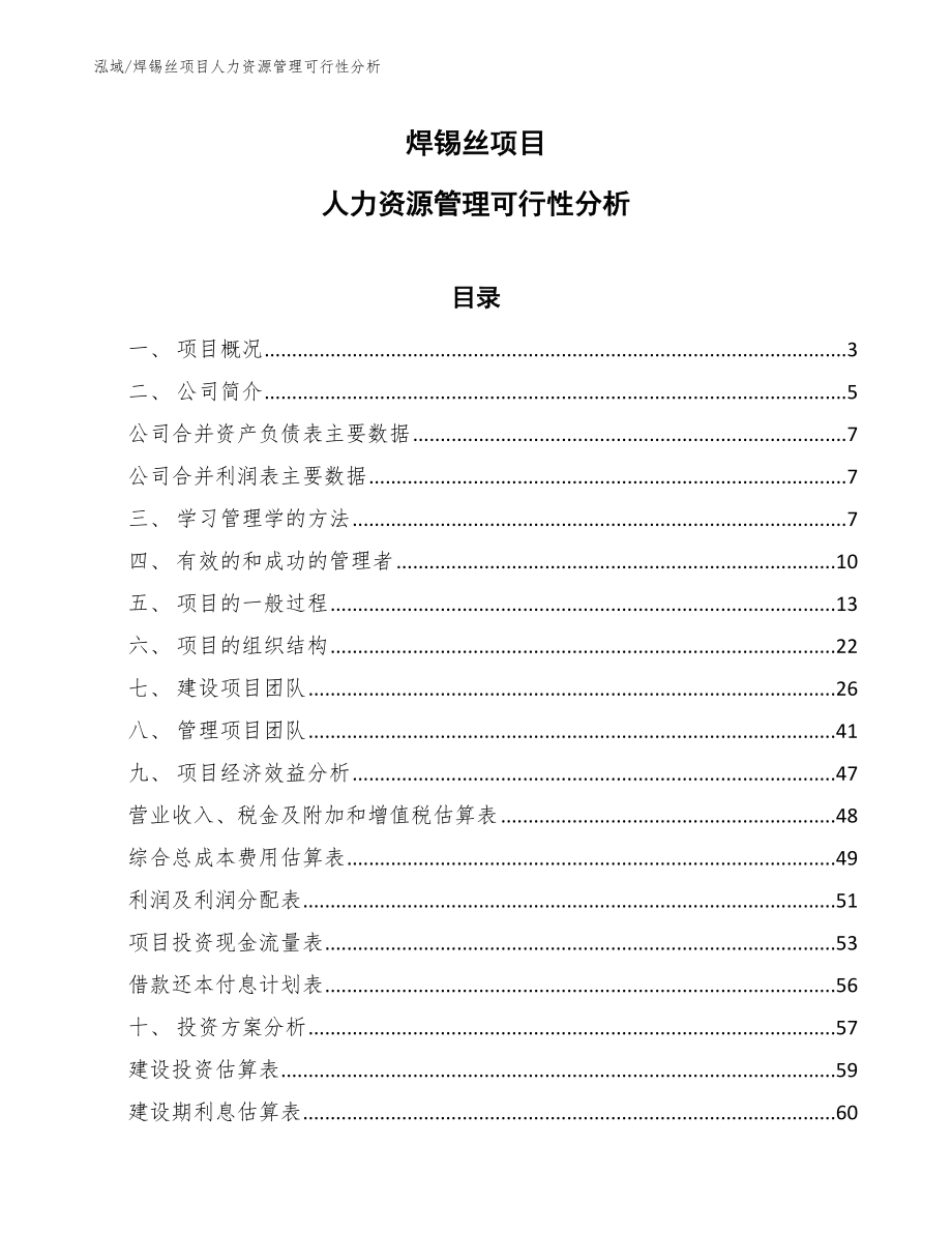 焊锡丝项目人力资源管理可行性分析【范文】_第1页