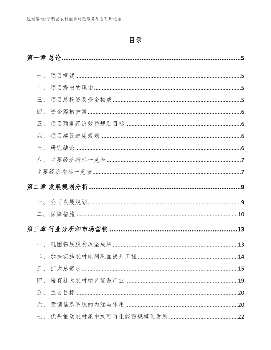 宁明县农村能源转型服务项目可研报告【参考范文】_第1页