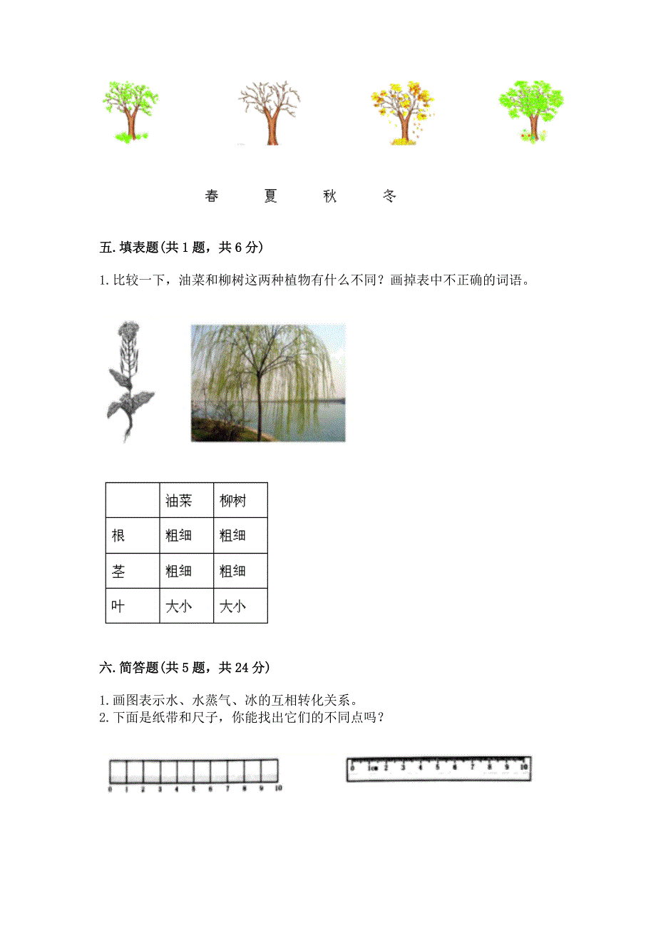 教科版科学一年级上册期末测试卷加答案解析.docx_第4页